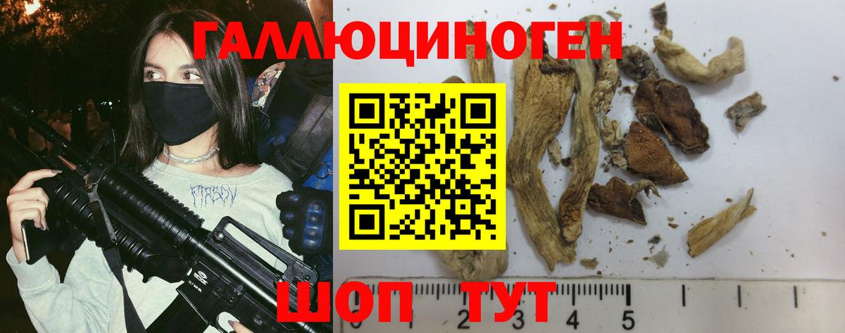 Псилоцибиновые грибы мухоморы Ликино-Дулёво